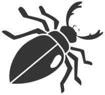 black drawing of a beetle on a white background