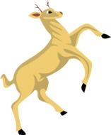 Leaping Deer, side view, illustration