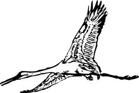 Black and white flying crane clipart