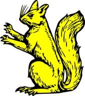 Gold Squirrel drawing