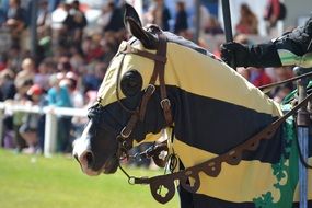 Portrait of horse on the knight festival