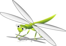 graphic image of a green dragonfly with white wings