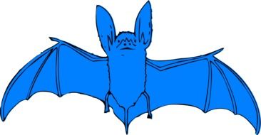 blue bat drawing on white background