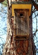 new birdhouse on a tree trunk