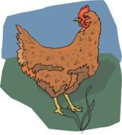 Chicken Brown drawing