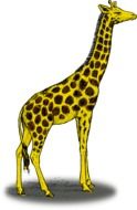 drawing yellow giraffe with brown spots