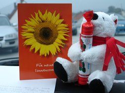 greeting card and polar bear toy