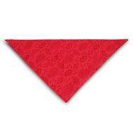 cute red bandanna