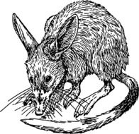 Clipart,picture of rat with long tail