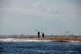people feed birds by the river