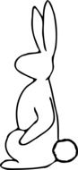 painted white hare