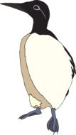 clipart of a guillemot bird