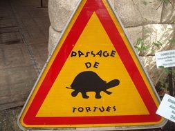 turtle on a road sign