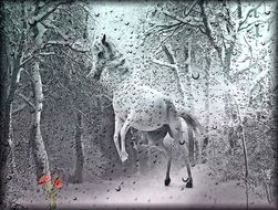 drawing of a horse in winter forest
