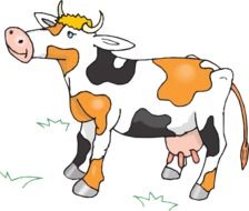 drawn colored cow