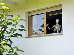 skeleton in an open window