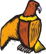 Eagle with claws drawing
