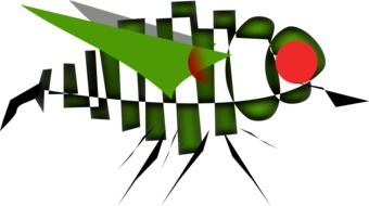 Fly Mosquito drawing