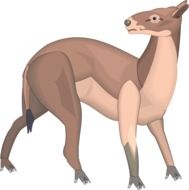 ancient animal with a tail looking back