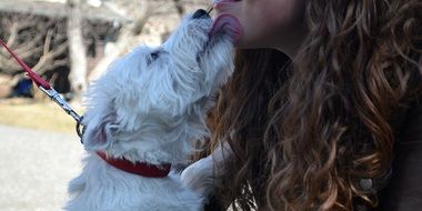 dog kissing girl