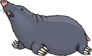 Blind mole