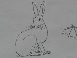 Hare Animal Coloring Pages drawing