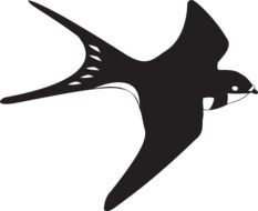 Flying swallow, Black and White illustration