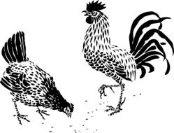 Rooster and Hen, black and white drawing