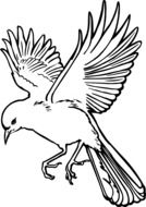 silhouette of flying dove