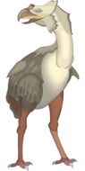 bird with feet drawing
