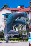 attractive Sculpture Dolphin
