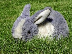 toy plush hare on green grass