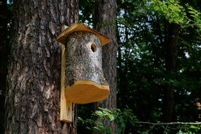Forest Tree bird house