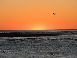 Sunset Orange over the coast in oregon