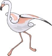 Running Flamingo drawing