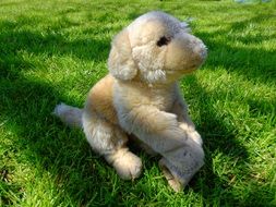 soft baby toy on green grass