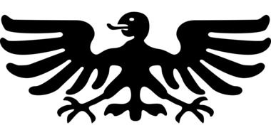 Eagle Bird Silhouette drawing