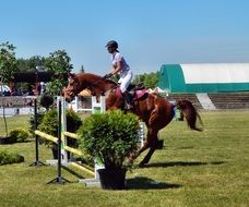 training rider on horse jumps over obstacle