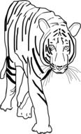 tiger as a black and white graphic image