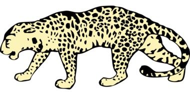 drawn spotted leopard on a white background