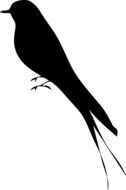 Bird Silhouette, Mockingbird drawing