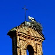 nest of a stork near the cross