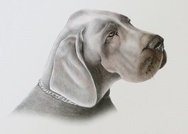 painting with a image of a thoroughbred dog