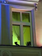 Dog silhouette on window seal at dusk