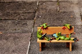 Frogs with computers on the bench