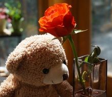 Cute old teddy bear with rose
