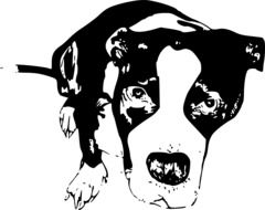 graphic image of a puppy pit bull