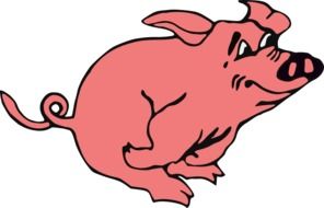 Pink Pig drawing