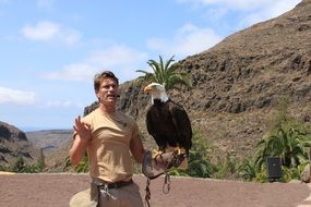 huge wild eagle on a man's hand