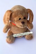 plush toy with a thermometer